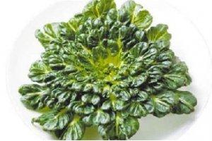 這種時令野菜賽羊肉，好吃又健康！