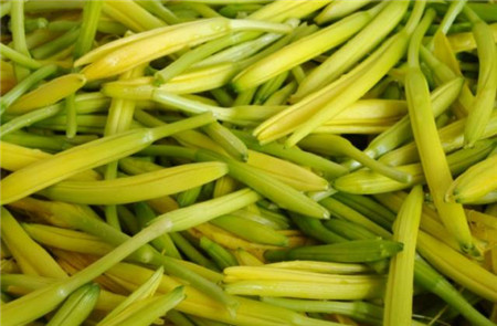 健腦食材首選它，低價又美味！