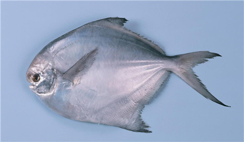 16種春季時(shí)令魚，你做過(guò)多少種？
