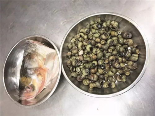 【熱賣菜】螺螄魚頭