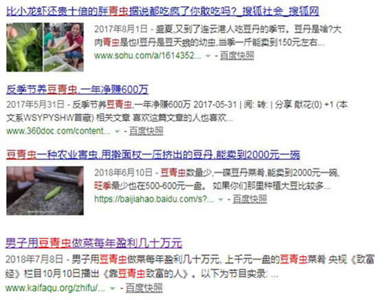 原來豆蟲的營養賽人參，難怪賣得比肉還貴！