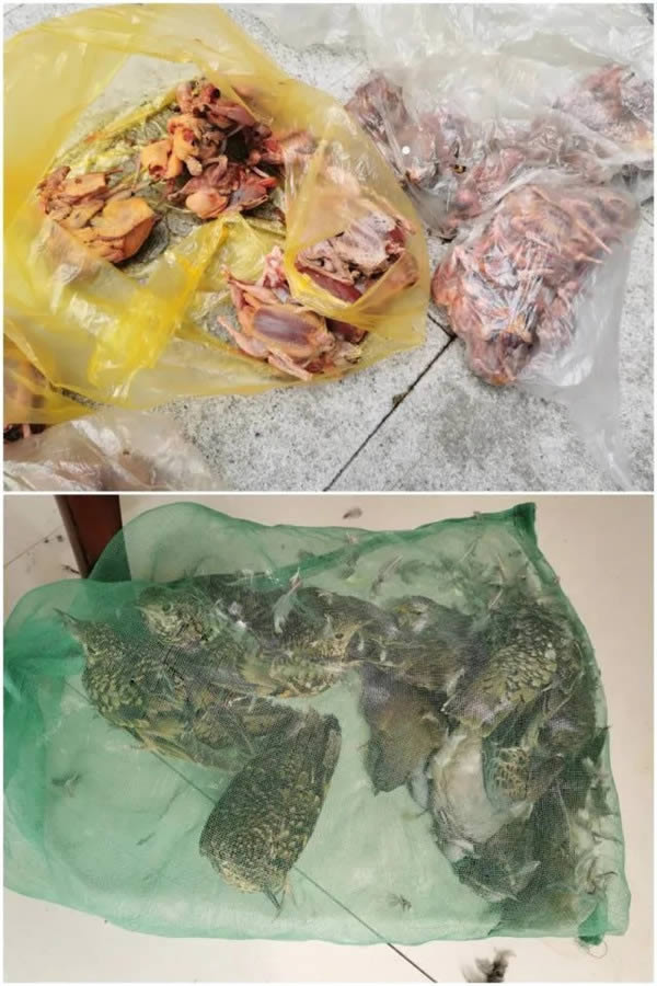 用“地溝油”熬底料，廚師被判刑事責任！按從犯處理！坐牢+罰款！
