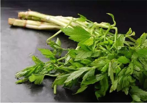 【水芹】味道兩極分化，讓人又愛又恨