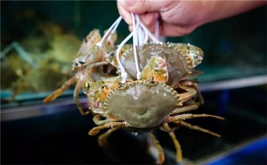 大閘蟹最好吃？這種蟹的滋味更勝一籌！