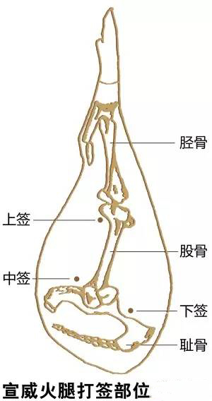 【宣威火腿】北腿金華，南腿宣威，云南一絕！