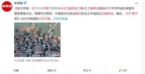 這十萬(wàn)只即將“出征”巴基斯坦的紹興鴨，好吃嗎？