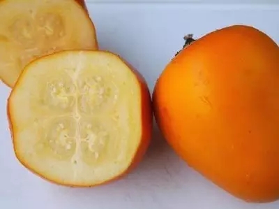 28種奇異果子，認(rèn)識(shí)一半算你牛X！