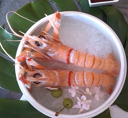 【南極螯蝦】來自深海的奢侈食材——南極深海螯蝦