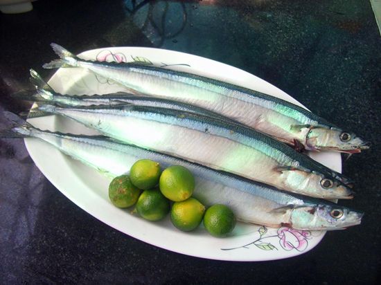 【秋刀魚】初戀的滋味——秋刀魚