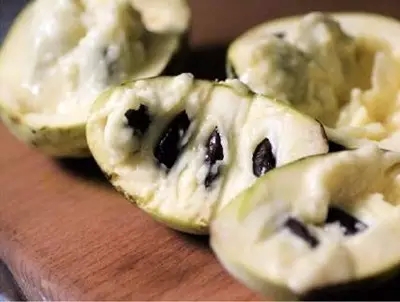 28種奇異果子，認(rèn)識(shí)一半算你牛X！