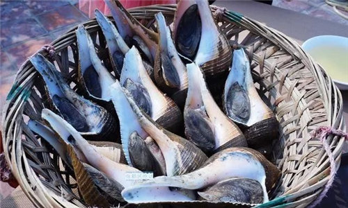【深海大響螺】堪稱“潮汕一絕”的食材，每道菜品皆是招牌！