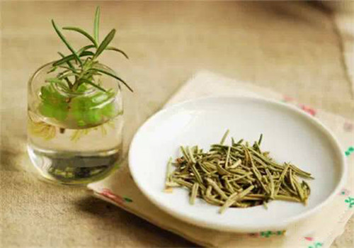 【迷迭香】早已傳入中國的迷迭香為什么不火？
