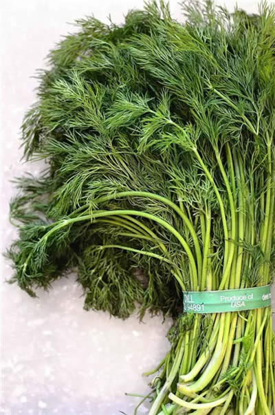 這28種常見香料，有很多廚師都還認不全！