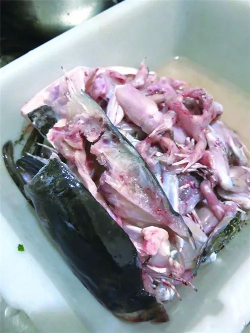 【川菜】美蛙魚頭火鍋