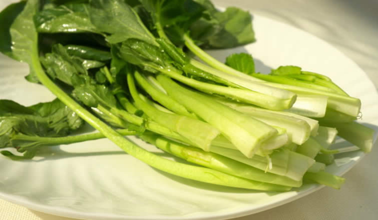 【春季食材】 草長鶯飛，吃春正當時