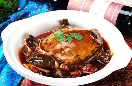 冰糖燉甲魚的做法
