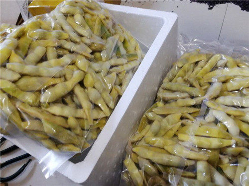 東北有種豆角叫“兔子翻白眼”，比普通豆角貴5倍……