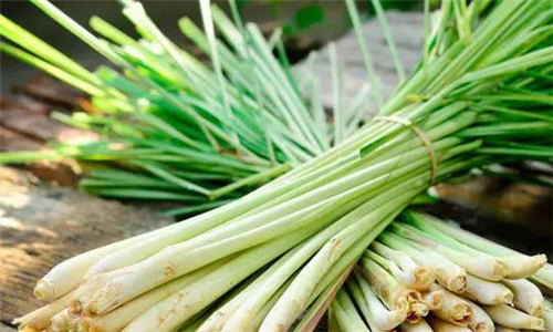 12種東南亞常見香料，你都用過嗎？
