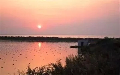 假的陽澄湖大閘蟹你還買？聰明人都去這些地區買了！