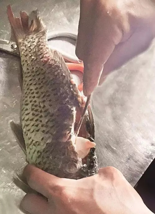 【創(chuàng)新菜】原生態(tài)茅古斯魚(yú)