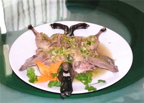 中國最牛的鴨，被譽為“鴨類國粹”，你見過嗎？