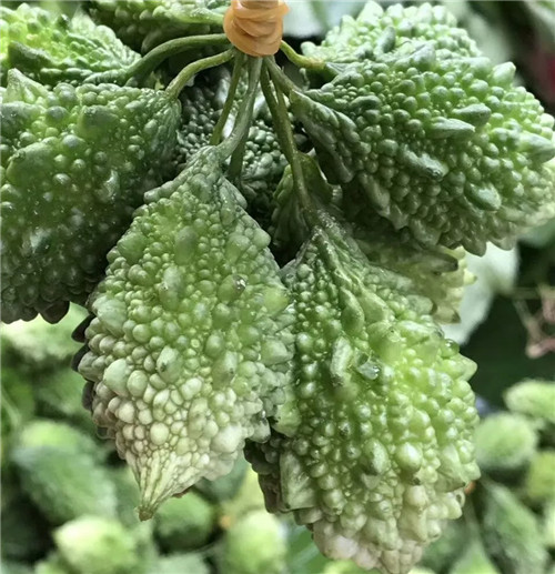 原來這就是傳說中的“錦荔枝”，你見過嗎？