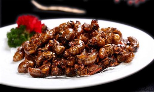 傳說中的唐僧肉，原來真的有！
