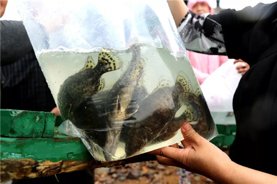 12種中國最珍貴的頂級食用魚