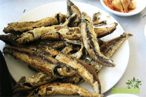 云南四大名魚之一，康熙都忍不住愛上它
