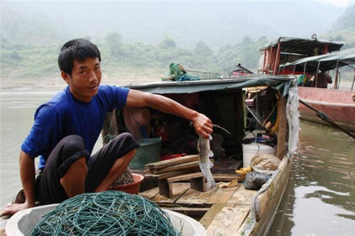 兩廣發(fā)現(xiàn)怪異鯰魚(yú)，疑似入侵物種，專家：釣到一條就能發(fā)財(cái)