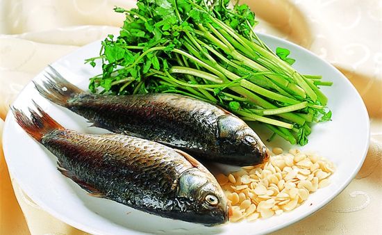 【鯽魚】五月鯽魚甜——鯽魚