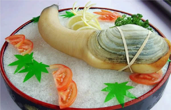 【象拔蚌}外表很污，卻是餐廳必不可少的頂級(jí)珍饈 