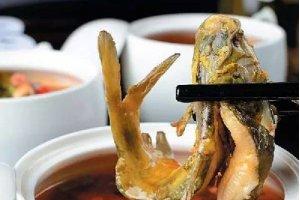 雙椒豆花黃臘丁