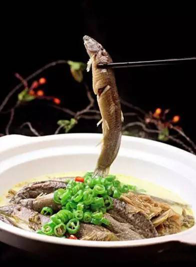 【鄉土菜】土酸菜燒泥鰍