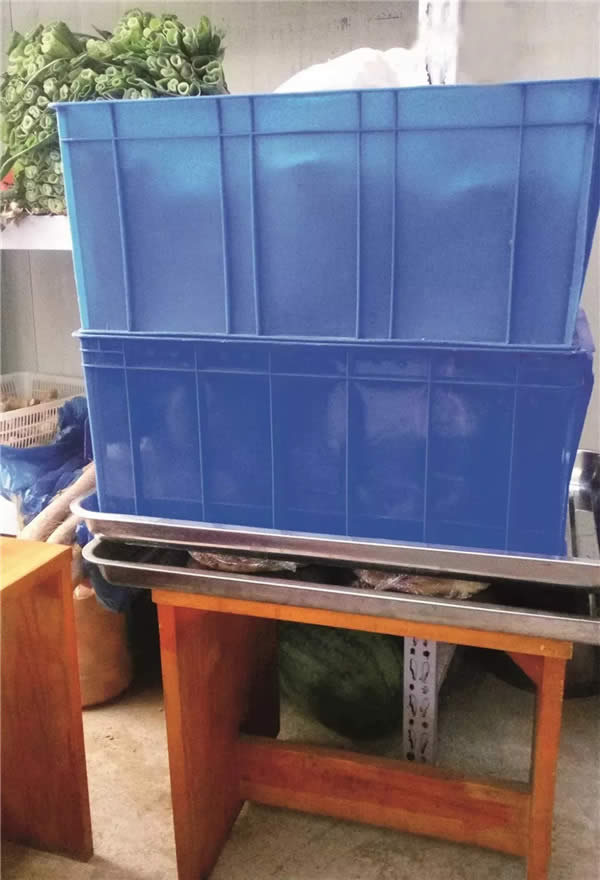 【傳統魯菜】羅漢肚