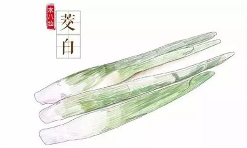 【茭白】春筍的替代品也有自己的鮮爽滋味！