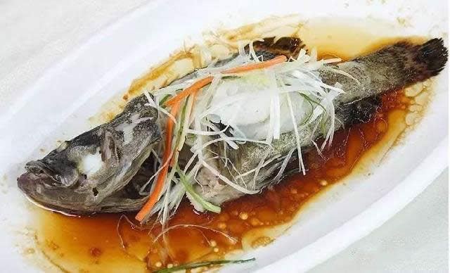 【石斑魚】可能是史上最權威的石斑魚介紹，如何區分珍珠龍膽、龍