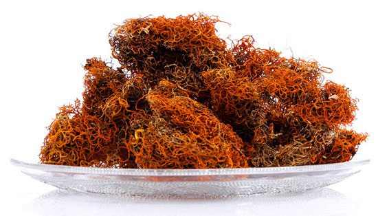 紅雪茶的功效與作用
