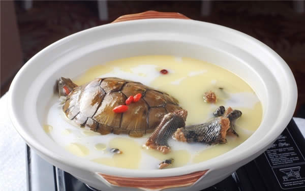 【藥膳】龜蛇大補湯.jpg