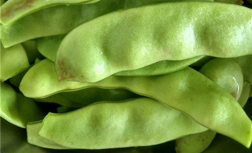 東北有種豆角叫“兔子翻白眼”，比普通豆角貴5倍……