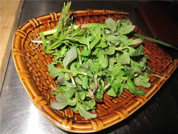 【創新菜】薄荷嘎丫面片