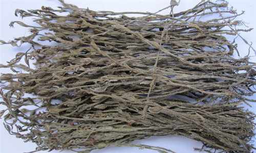 【獨腳金】這是一簇要賣80元的小野草