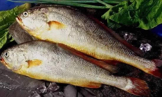 帶魚、黃魚、三文魚等海鮮的分辨挑選小技巧？