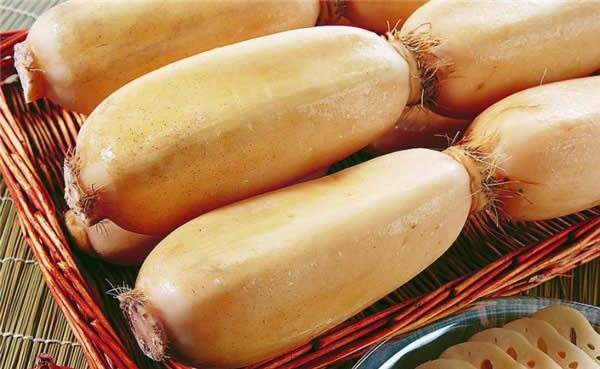 【蓮藕】夏季餐桌又添一道菜