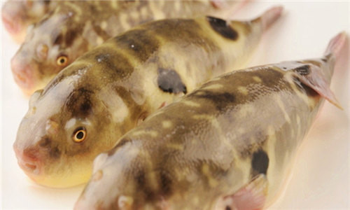 16種春季時(shí)令魚，你做過(guò)多少種？