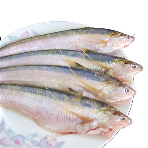 江刀、海刀、明前刀……原來刀魚還可以這樣分！