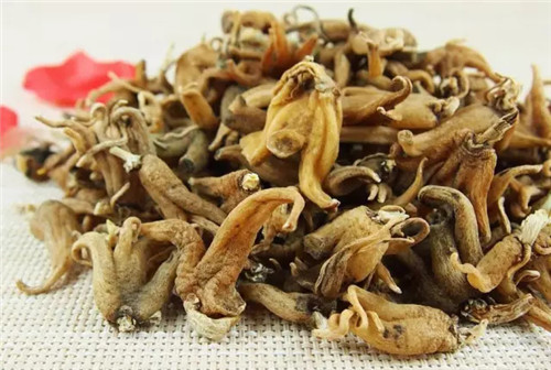 這種參男人吃了會很“厲害”，但據(jù)說很少人見過！