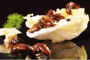 香酥椒麻金蟬
