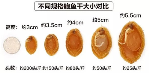 干鮑難選？四招教你挑選好貨！