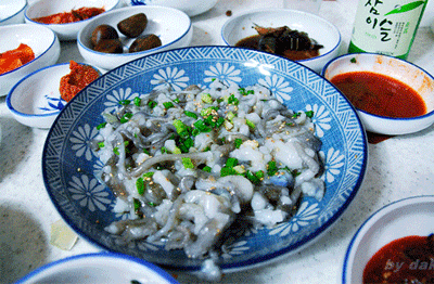 【章魚】廚師們，其實你們并不了解章魚.gif